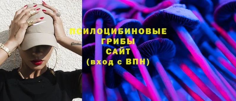 Галлюциногенные грибы Magic Shrooms  маркетплейс клад  Канаш  сколько стоит 